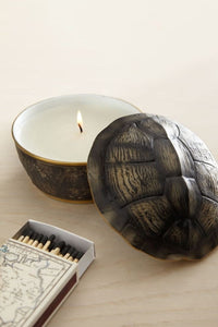 Porcelain turtle candle - Brown