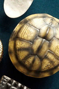 Porcelain turtle candle - Brown