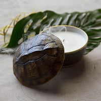 Bougie tortue en porcelaine - Brown