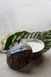 Porcelain turtle candle - Brown