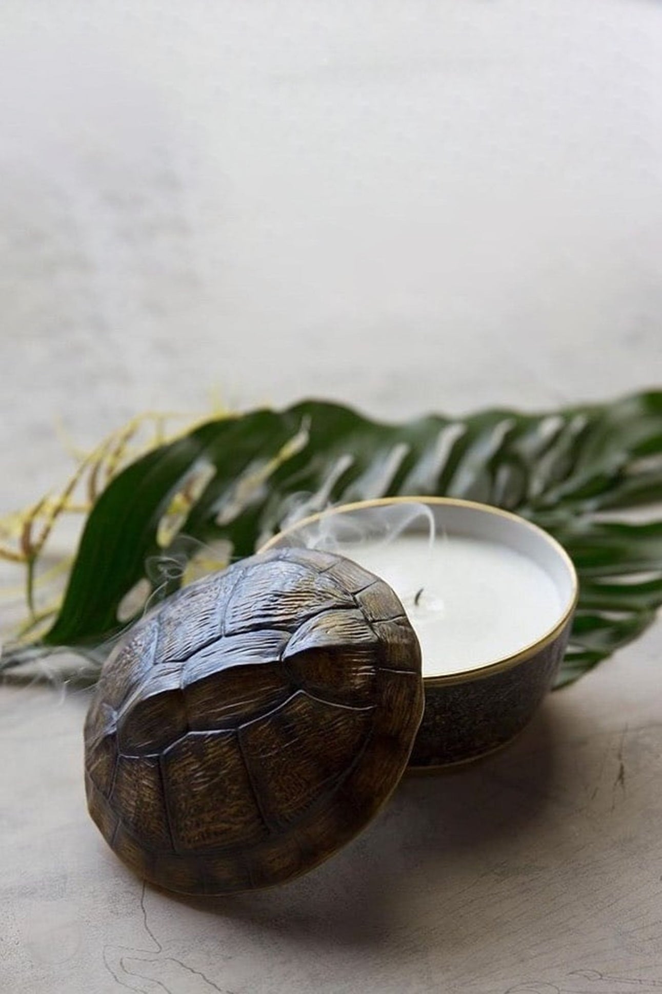 Porcelain turtle candle - Brown