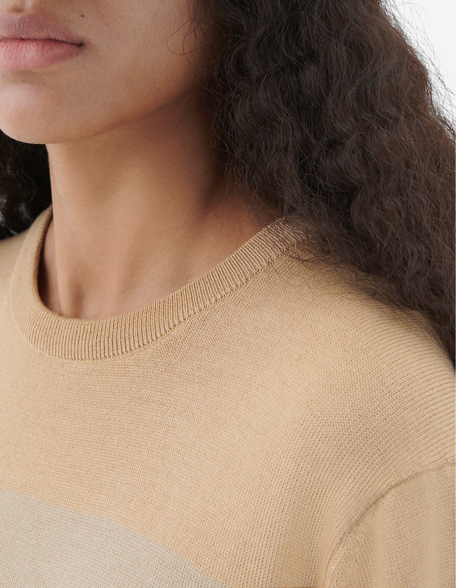 Pull rayé à manches longues avec écusson en laine - Camel Stripes