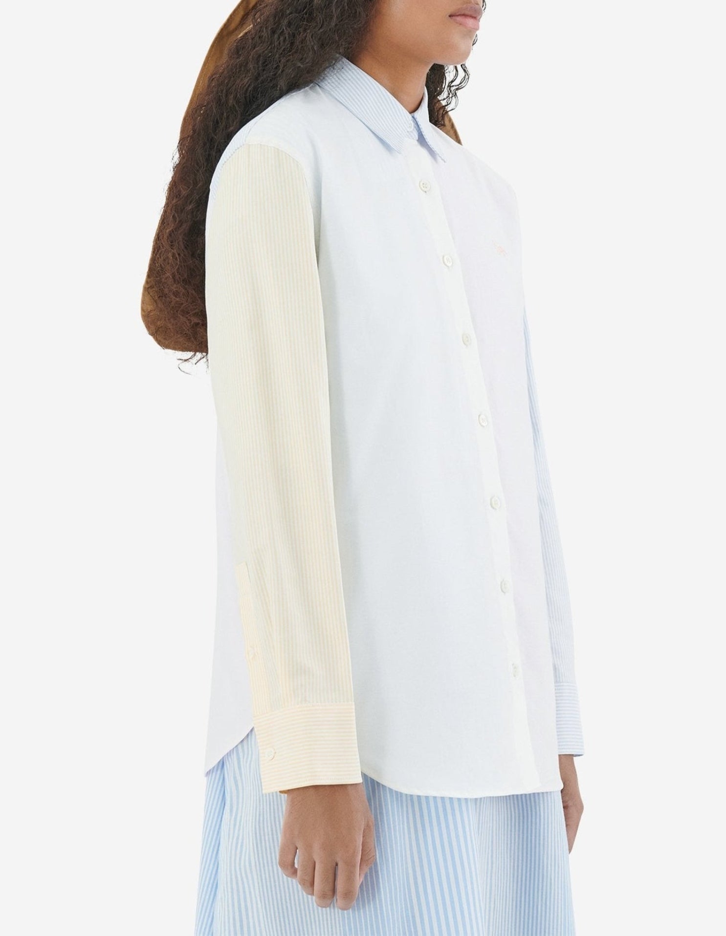 Striped Oxford shirt - Color Block Stripes