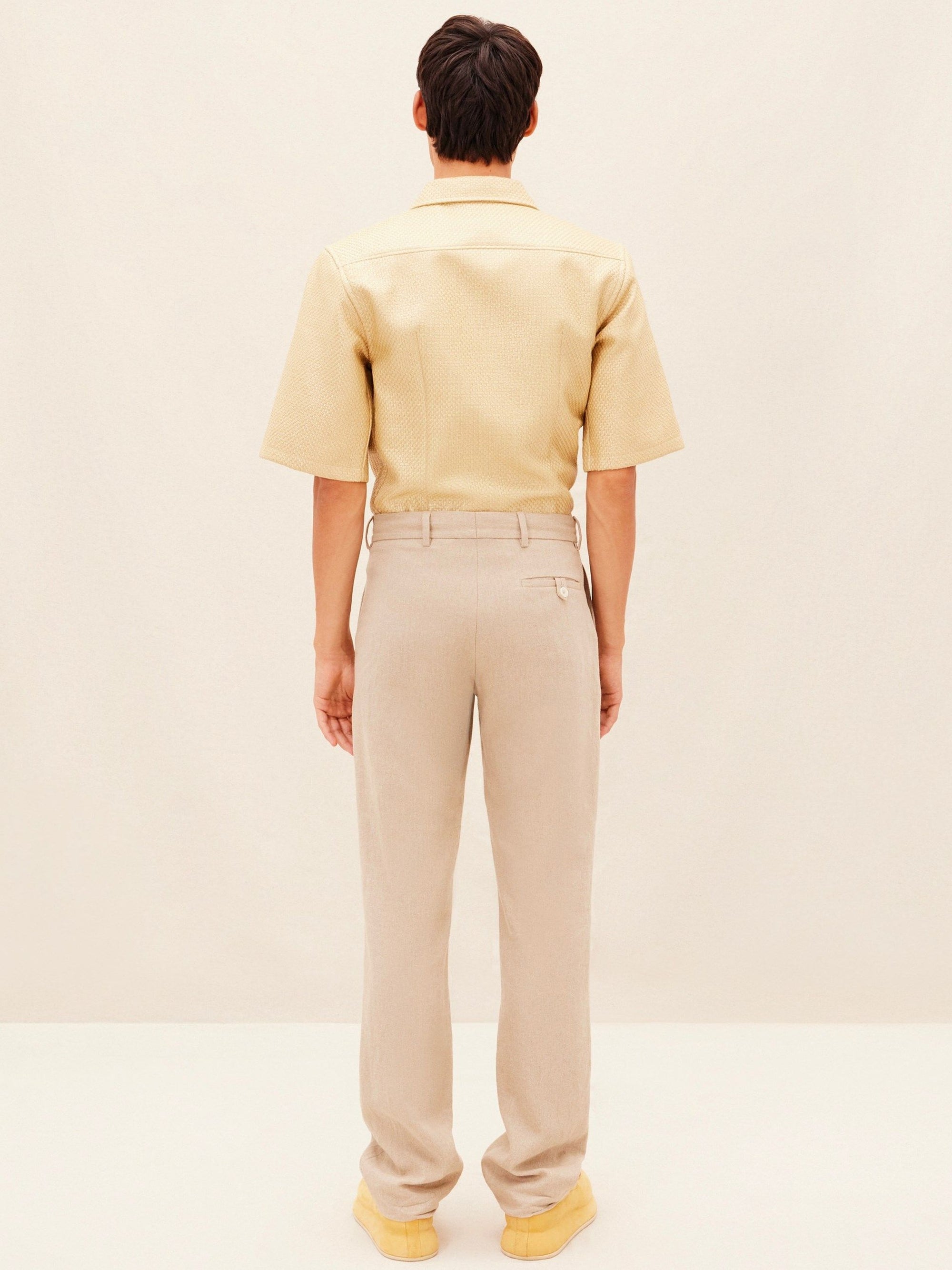 Pantalon Feijoa en lin - Beige