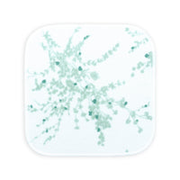 Bath Universe Jeté de fleurs - Jade