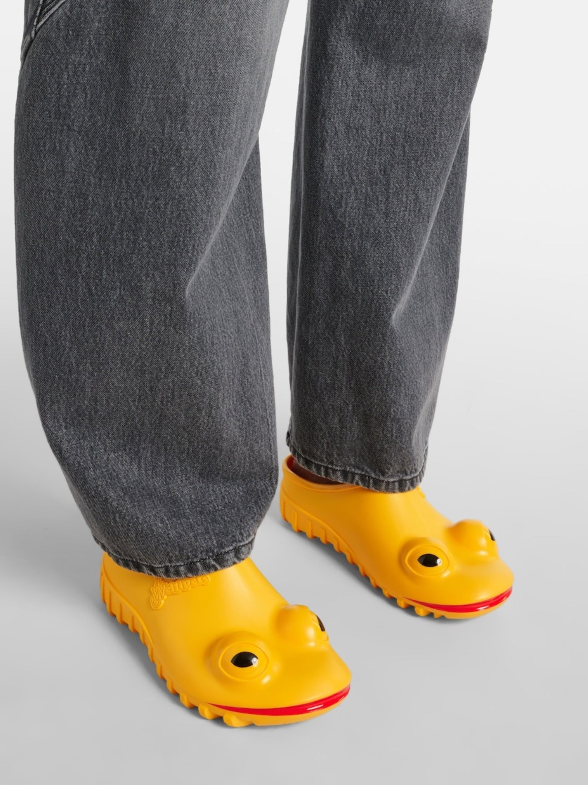 Mules JW Anderson x Wellipets - Green