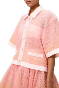 Multi / DEGRADE TULLE TOP