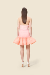 Multi / DEGRADE TULLE DRESS