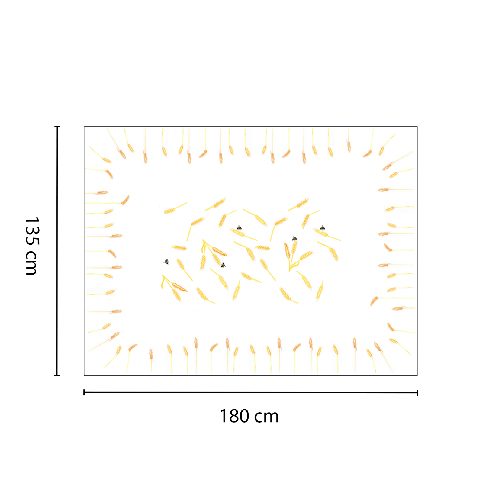 Mustang Nappes - Mustang