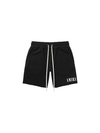 AMIRI CORE LOGO SHORT