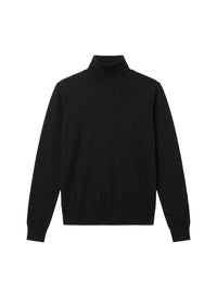 SOLID TURTLENECK