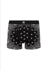 BANDANA BRIEFS