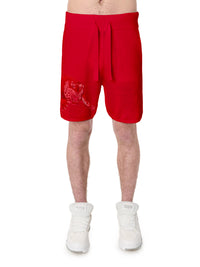 TIGER MESH GRAPHIC SHORT