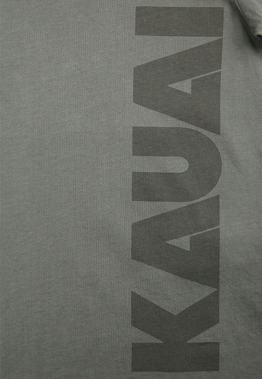 t-shirt in jersey con stampa kauai