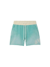 AMIRI VINTAGE COLLEGIATE SHORT