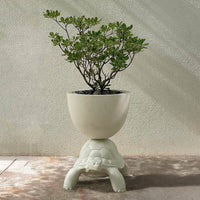 Turtle Carry vase - Terracotta