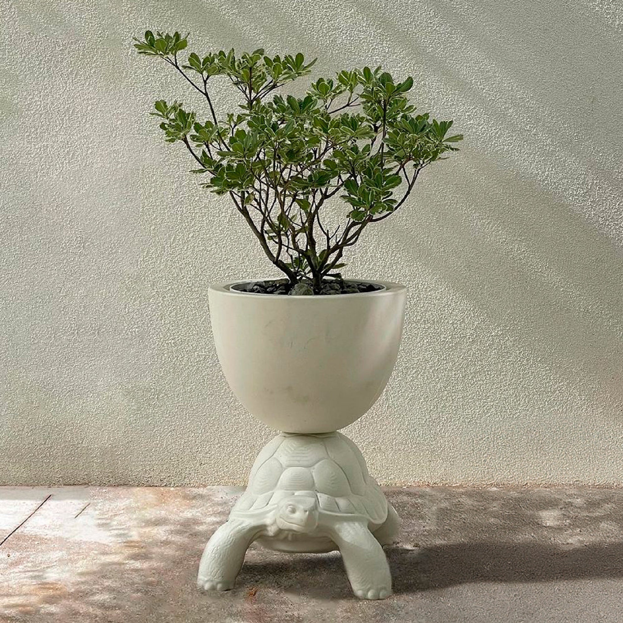 Turtle Carry vase - Terracotta