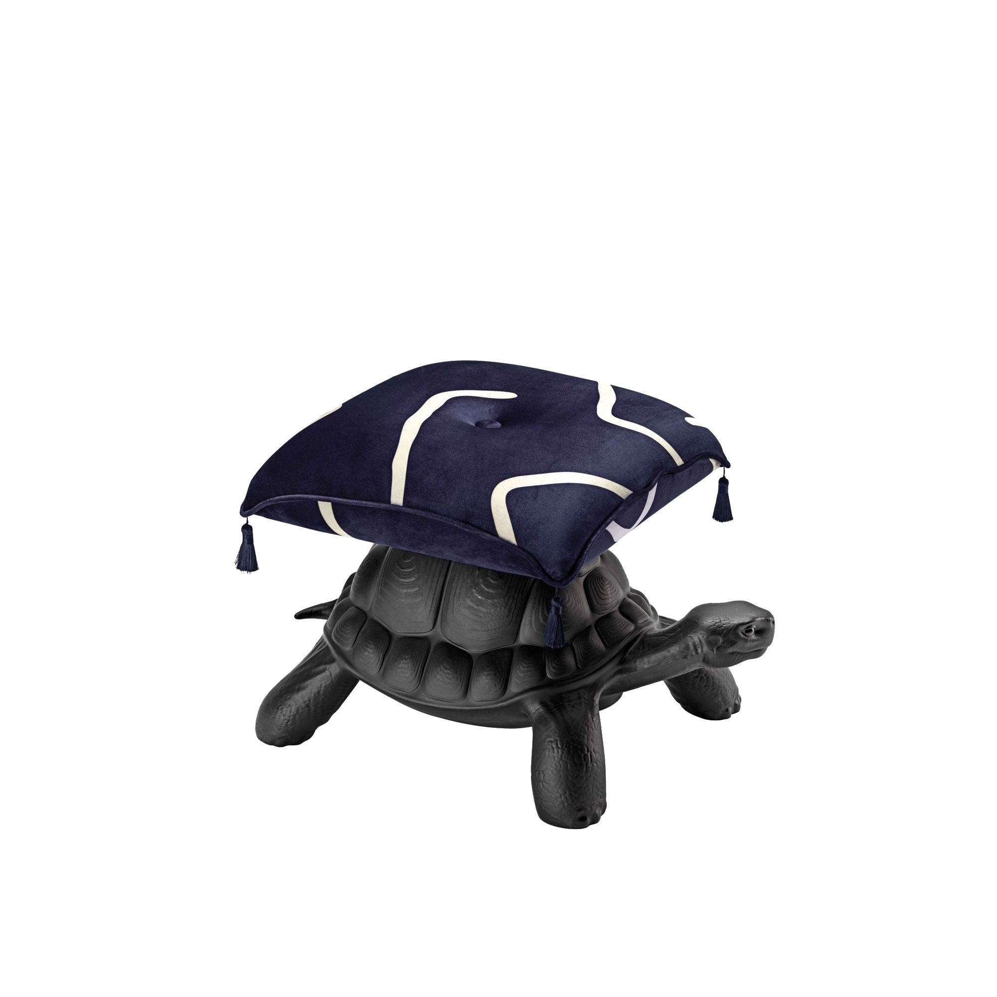 Turtle Carry chair - Blue