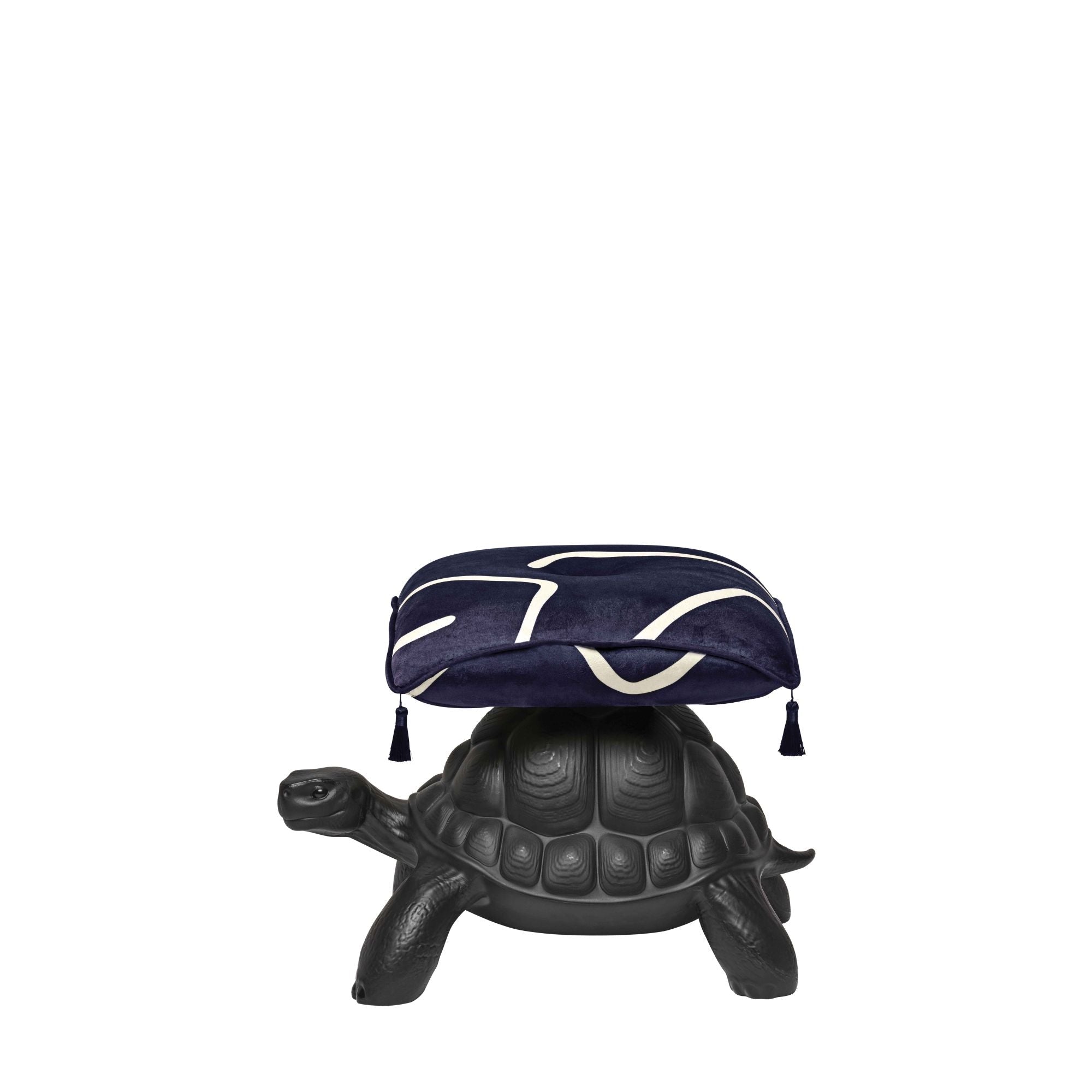 Turtle Carry chair - Blue