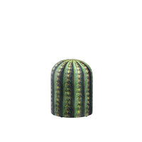 Chaise Cactus M - Green