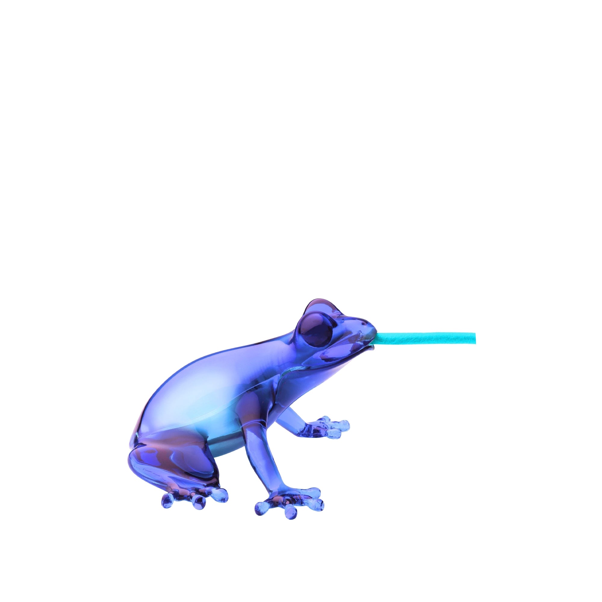 Lampe Hungry Frog - Sapphire