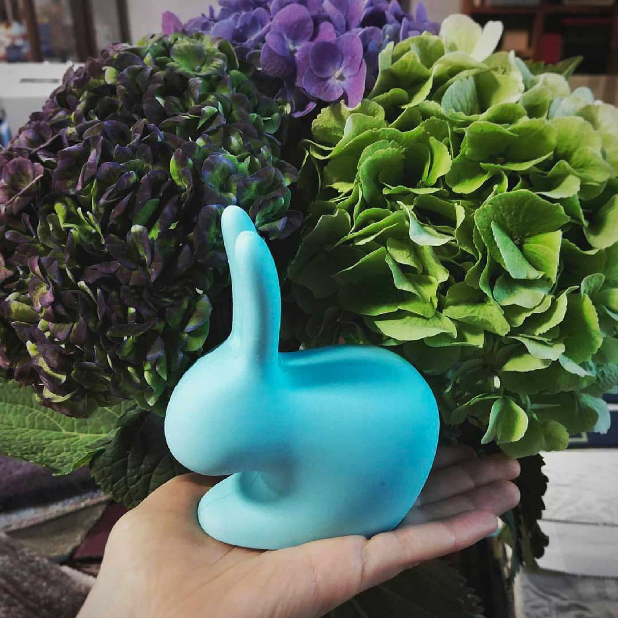 Rabbit door wedge XS - Light Blue