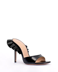 ROUCHES MULE