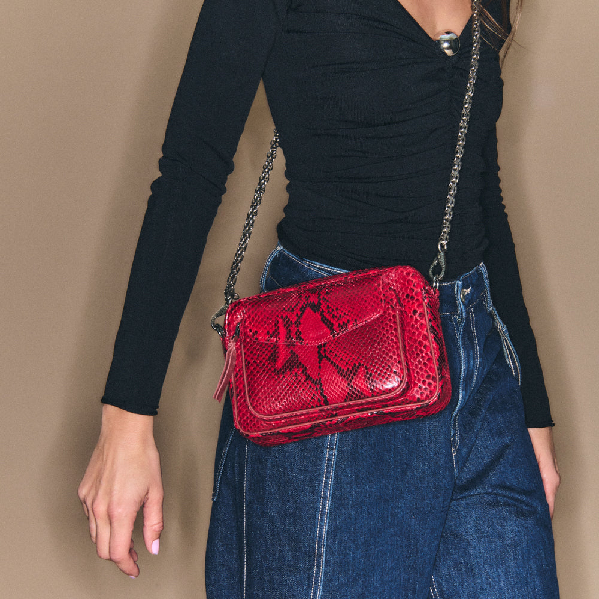 Sac Charly en python - Rubis