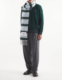 Wool striped scarf - Bottle Blue Charcoal