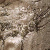 160 denim slim jeans with decoration - Champagne