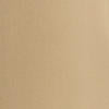 Chemise Adrien Relaxed en soie - Lux Tan