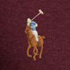 Polo coupe ajustée - Spring Wine Heather