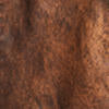 Veste col en peau lainée - Brown