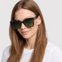 Lunettes de soleil Devine - Havana & Gradient Green